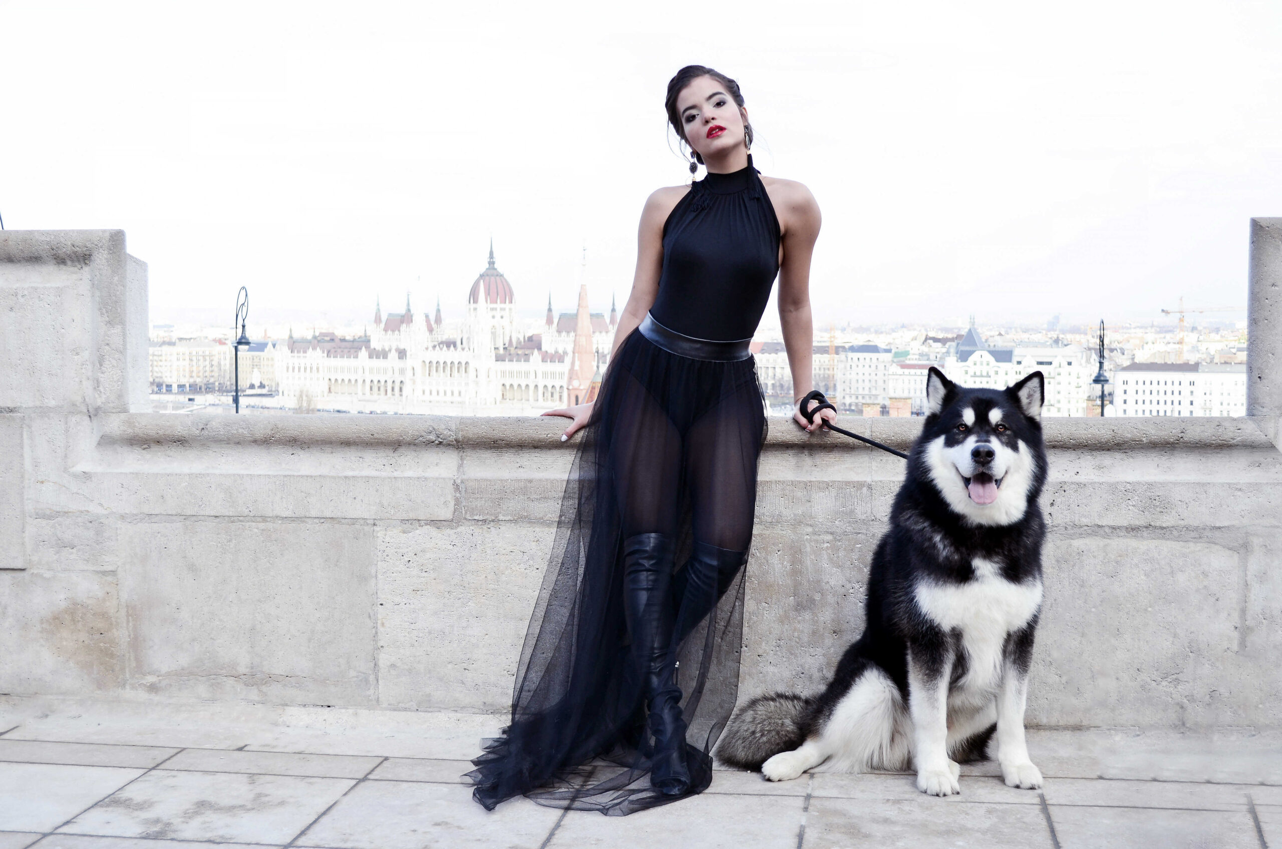 dsc_0683-1_optimized